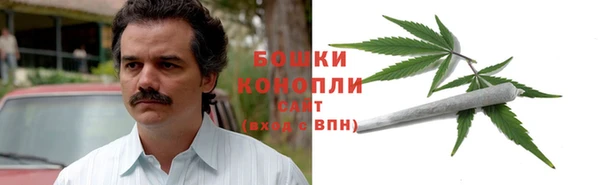 мет Гусев