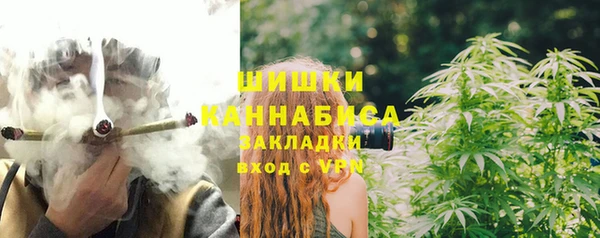 мет Гусев