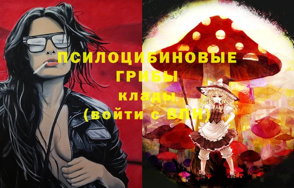 MDMA Premium VHQ Гусиноозёрск